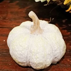 3.75X3.75X3.15 PUMPKIN