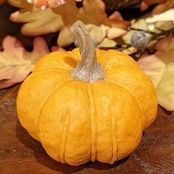 3.75X3.75X3.15 PUMPKIN