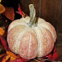 8X8X7 PUMPKIN