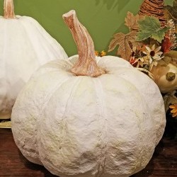 12.75X12.5X12 PUMPKIN