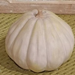 3.15X3 GOURD PUMPKIN