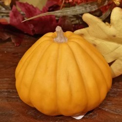 3.15X3 GOURD PUMPKIN