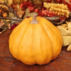 5X5X3.95 GOURD PUMPKIN