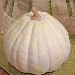 7X7X6.5 GOURD PUMPKIN