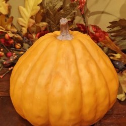 7X7X6.5 GOURD PUMPKIN
