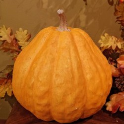 12.8X12.8X13 GOURD PUMPKIN