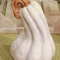 4.5X4.4X7 SQUASH PUMPKIN