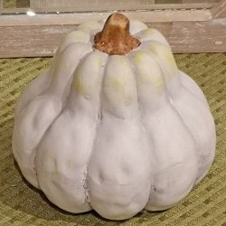 3.2X3.2X3 RD GOURD PUMPKIN