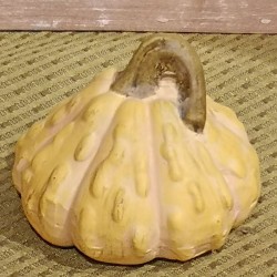 3X3X2.4 GOURD PUMPKIN