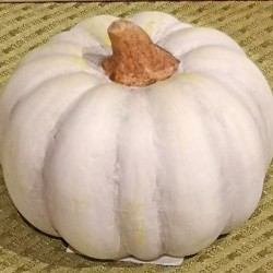 2.9X2.2 RD PUMPKIN