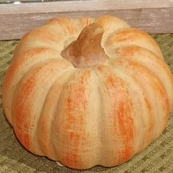 2.9X2.2 RD PUMPKIN