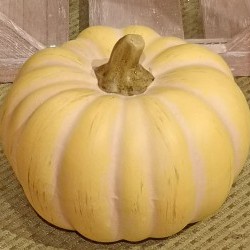 4.6X3.6 RD PUMPKIN