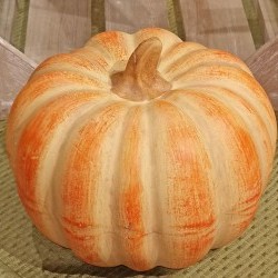 6.5X5 RD PUMPKIN