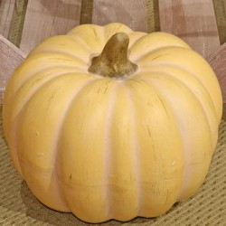 6.5X5 RD PUMPKIN