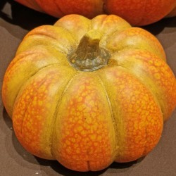 5.7X5.6X3.8 PUMPKIN