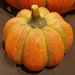 6.5X6.5X5.3 PUMPKIN