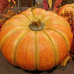 14.1X13.8X8.1 PUMPKIN