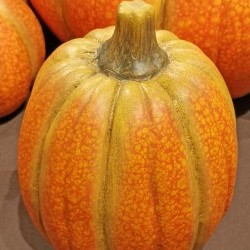5.9X5.9X3.5 PUMPKIN