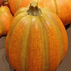 7.9X7.9X9.4 PUMPKIN