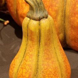 2.9X2.8X4.9 GOURD