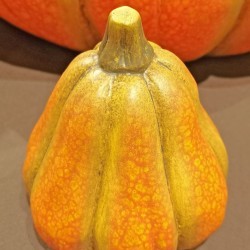 3.3X3.3X3.7 GOURD
