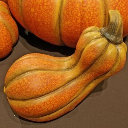 7.9X4.6X6.3 LYING GOURD