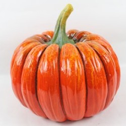 11.2X11.1X10.3 PUMPKIN