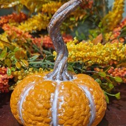 3.15X4.35 PUMPKIN