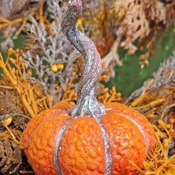 3.15X4.35 PUMPKIN