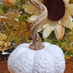 3.15X4.35 PUMPKIN