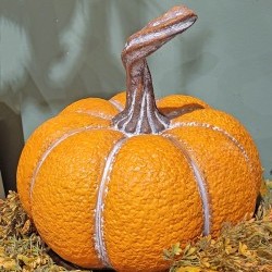 13X12 PUMPKIN