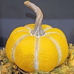 13X12 PUMPKIN