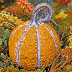 3.35X4.25 PUMPKIN