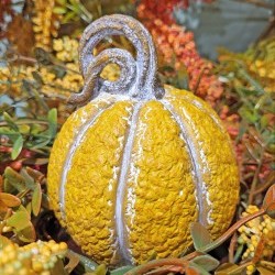 3.35X4.25 PUMPKIN