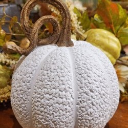 6.7X8.25 PUMPKIN