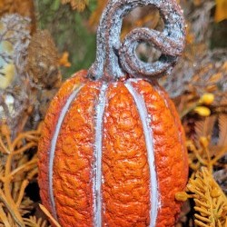 2.75X4.4 PUMPKIN-CURLY