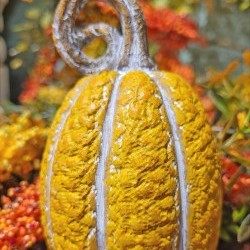 2.75X4.4 PUMPKIN-CURLY