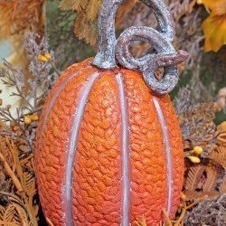 3.8X6.7 PUMPKIN-CURLY