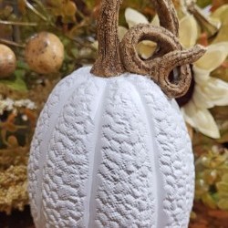 3.8X6.7 PUMPKIN-CURLY