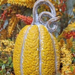 3.8X6.7 PUMPKIN-CURLY