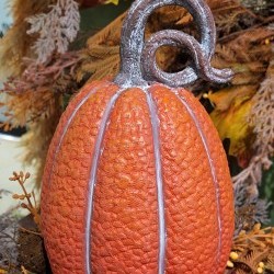 5.4X9.3 PUMPKIN-CURLY