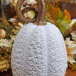 5.4X9.3 PUMPKIN-CURLY