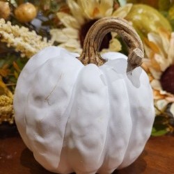 4.75X5 DISTORTED PUMPKIN