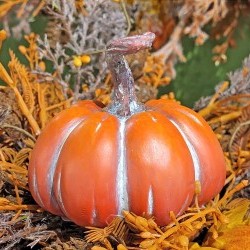 3.4X3X3 FLAT PUMPKIN