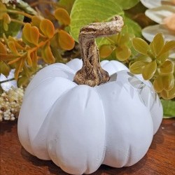 3.4X3X3 FLAT PUMPKIN