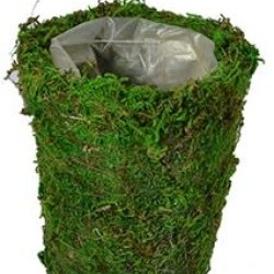 4"X2.75" MOSS POT